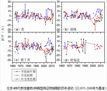 中国物候观测网北京站典型植物物候观测数据