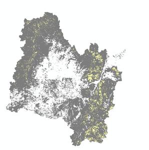 1990年松花江流域森林生态系统数据