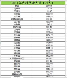 2006_2011年乡村从业人员数据