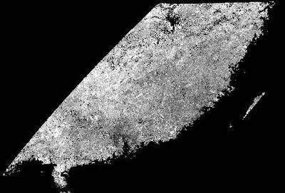 基于EVI时间序列的南方森林植被物候数据集(2004-2015)