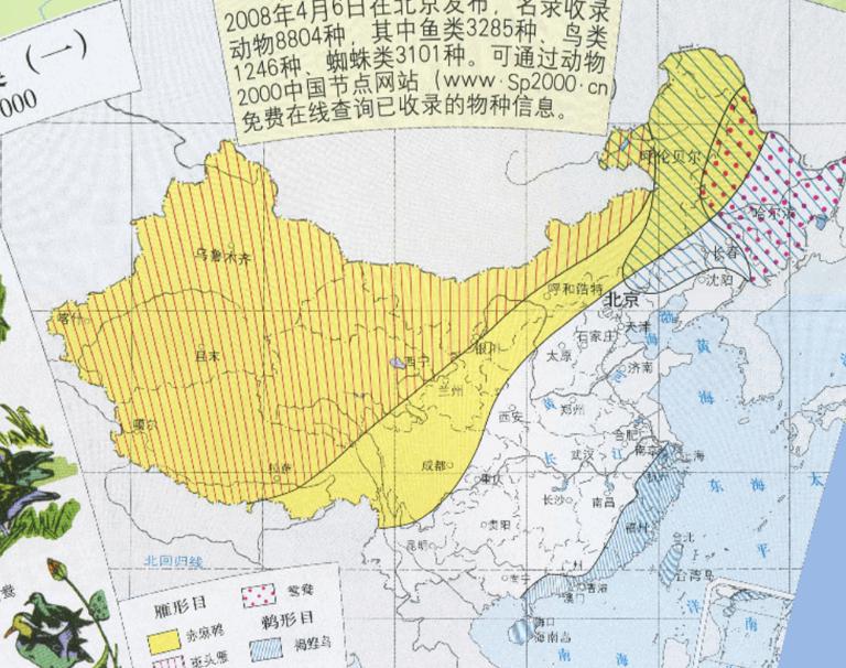 中国特产鸟类（雁形目、鹈形目）在线地图