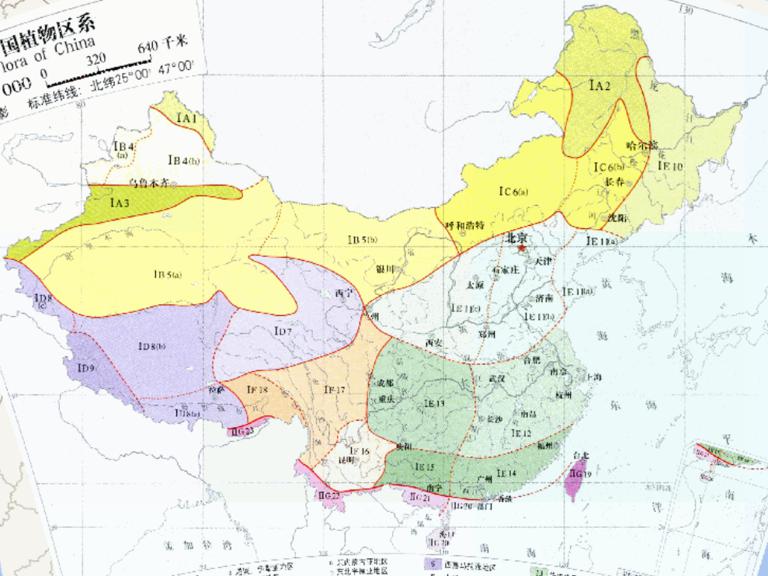 中国植物区系在线地图