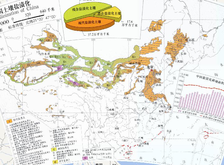 中国土壤盐渍化（1:3200万）在线地图