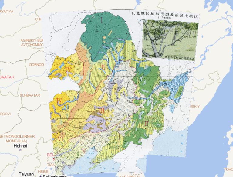 中国东北地区植被类型及植被土壤区在线地图