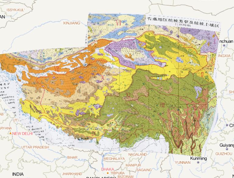 中国青藏地区植被类型及植被土壤区在线地图