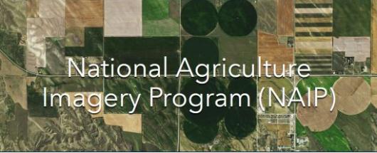 NAIP Imagery