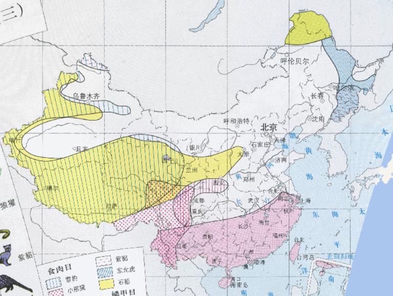 中国特产兽类（食肉目）在线地图