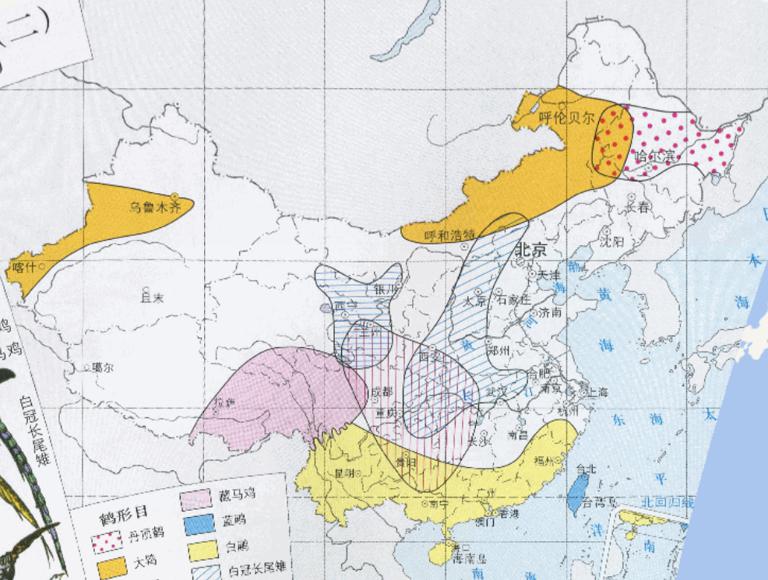 中国特产鸟类（鹤形目、鸡形目）在线地图