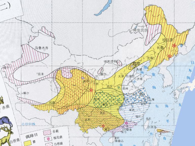 中国特产兽类（偶蹄目）在线地图