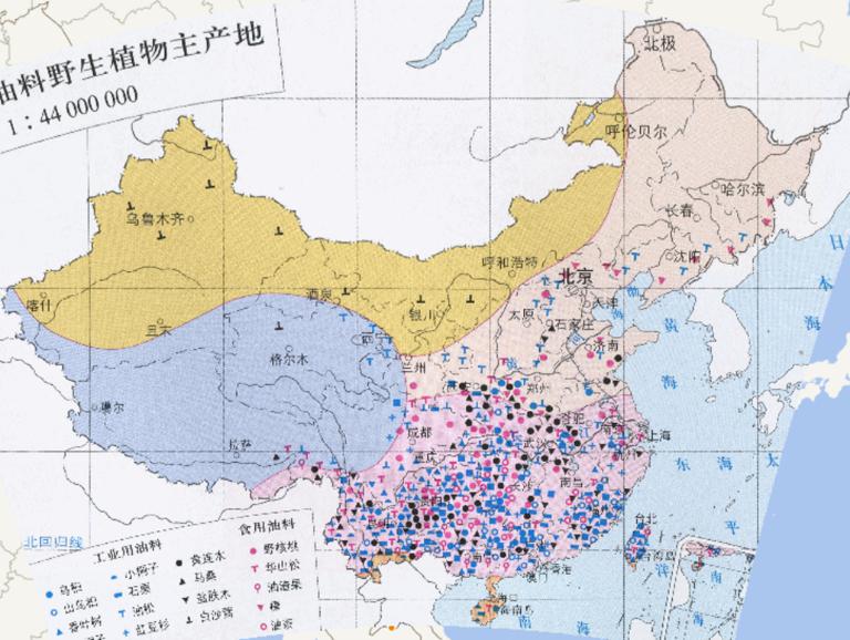 中国主要油料野生植物主产地分布图