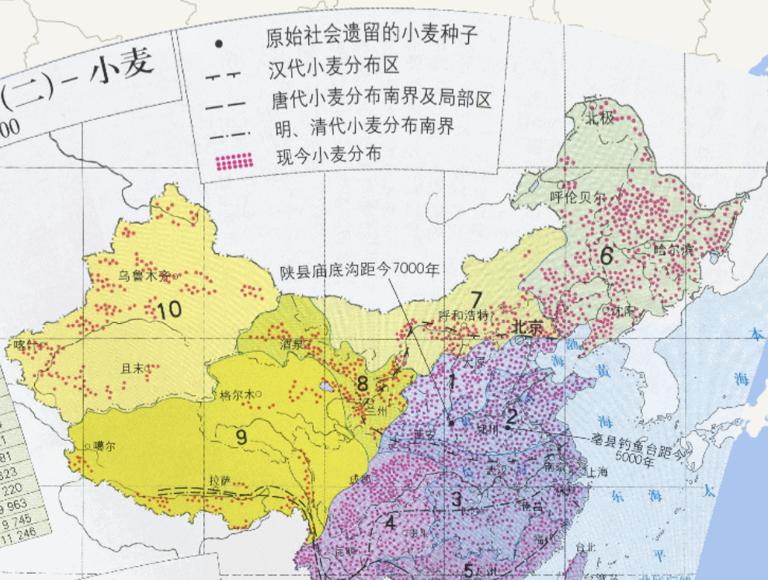 中国粮食作物资源（小麦）在线地图