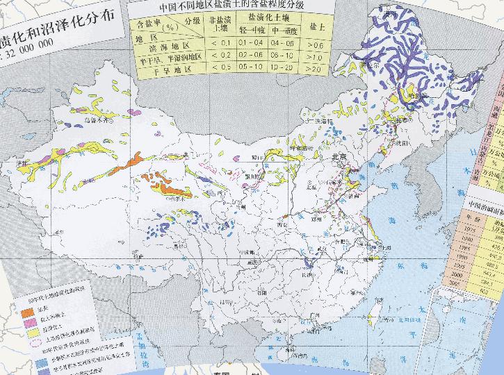 中国土地盐渍化和沼泽化分布在线地图