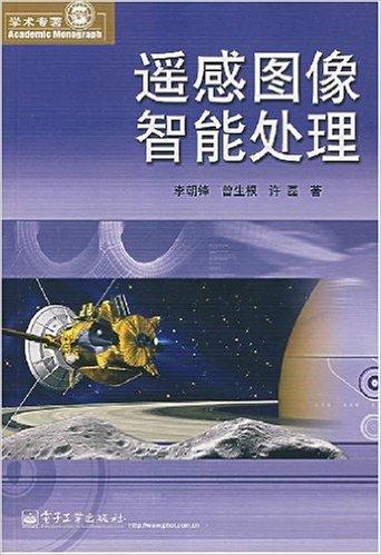 遥感图像智能处理