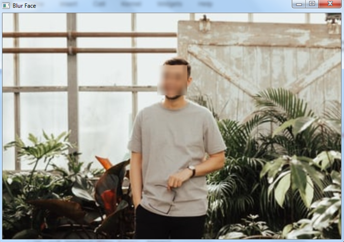 如何使用OpenCV Python模糊图像中的人脸？
