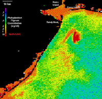 CZCS image in the Long Island Blight south of New York City.