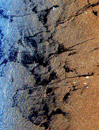 SIR-C radar image of oil leakages into the Arabian Sea.